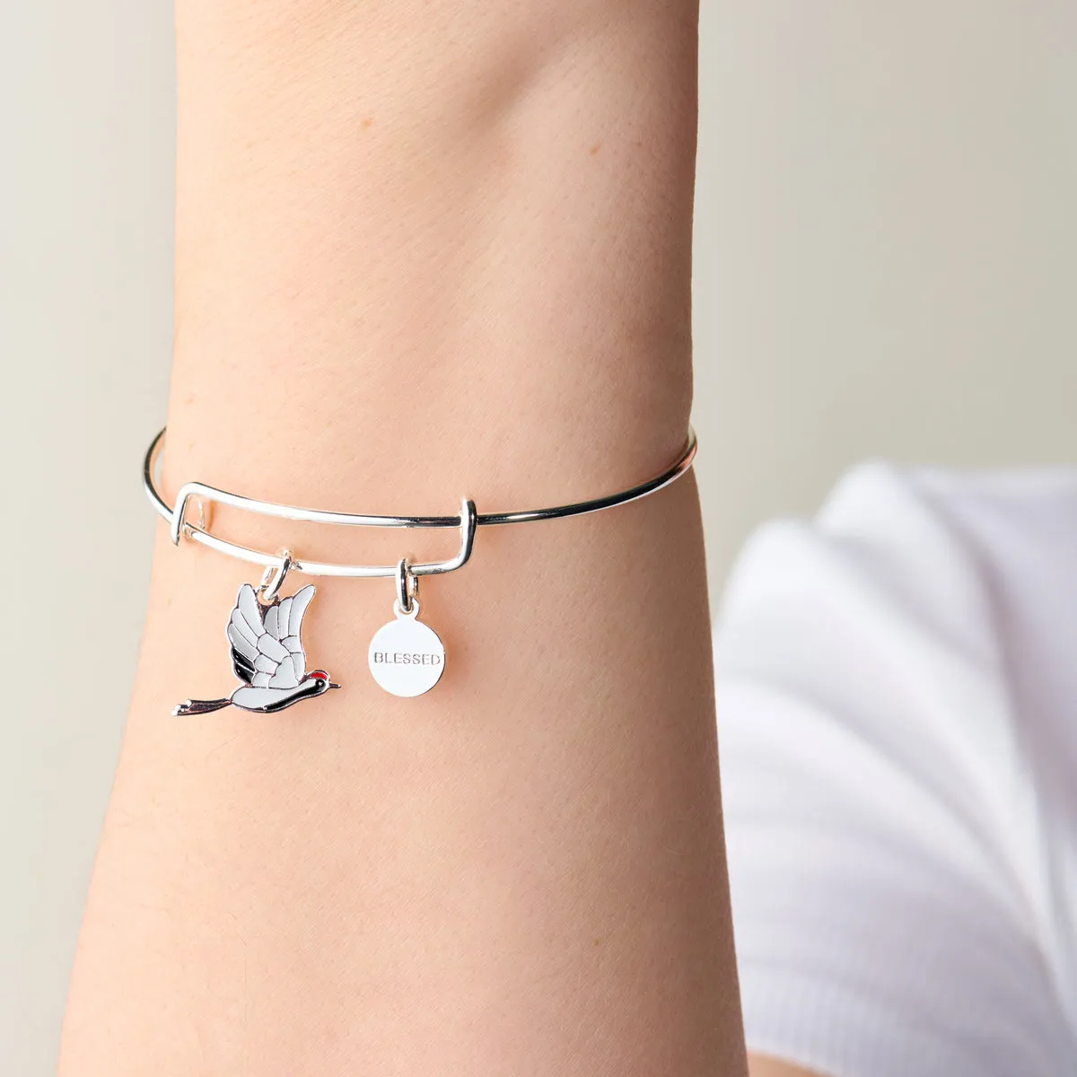 'Blessed' Crane Duo Charm Bangle Bracelet