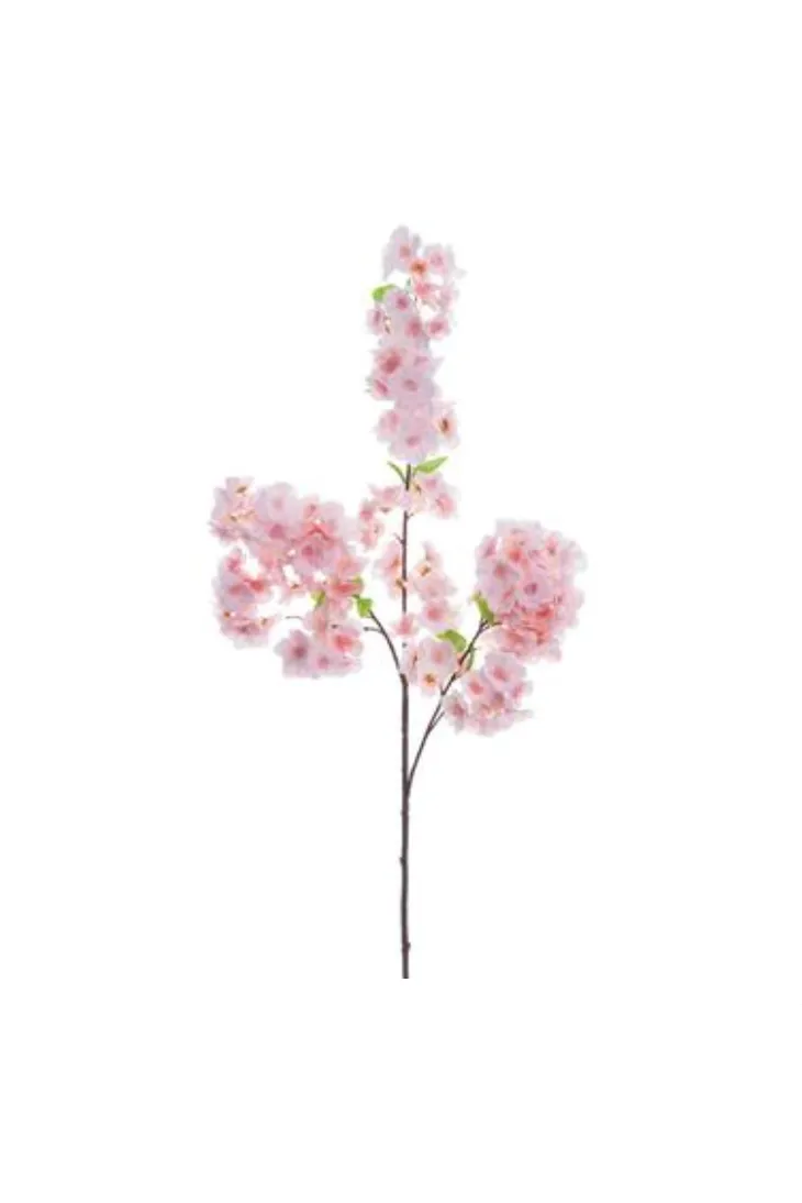 Cherry Blossom Spray 44