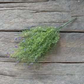 Coral Fern and Violet Bush