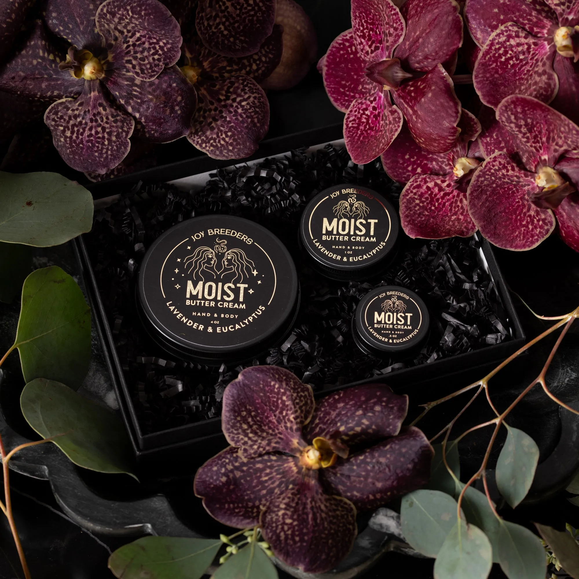 Moist Hand and Body Salve Gift Set